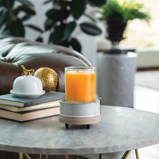 Rustic White 2-In-1 Classic Wax Warmer